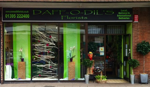 Daffodils Shop Window